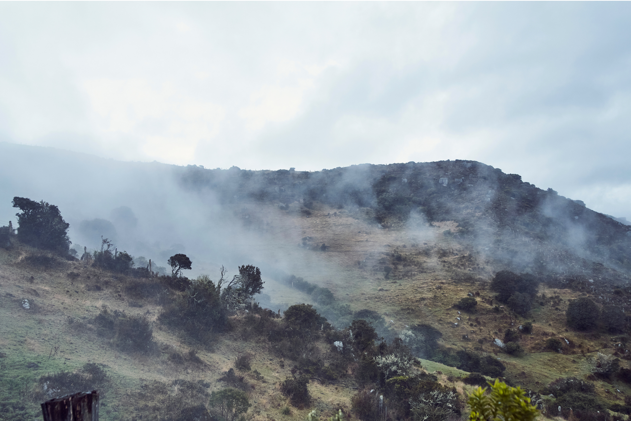 84 niebla.webp